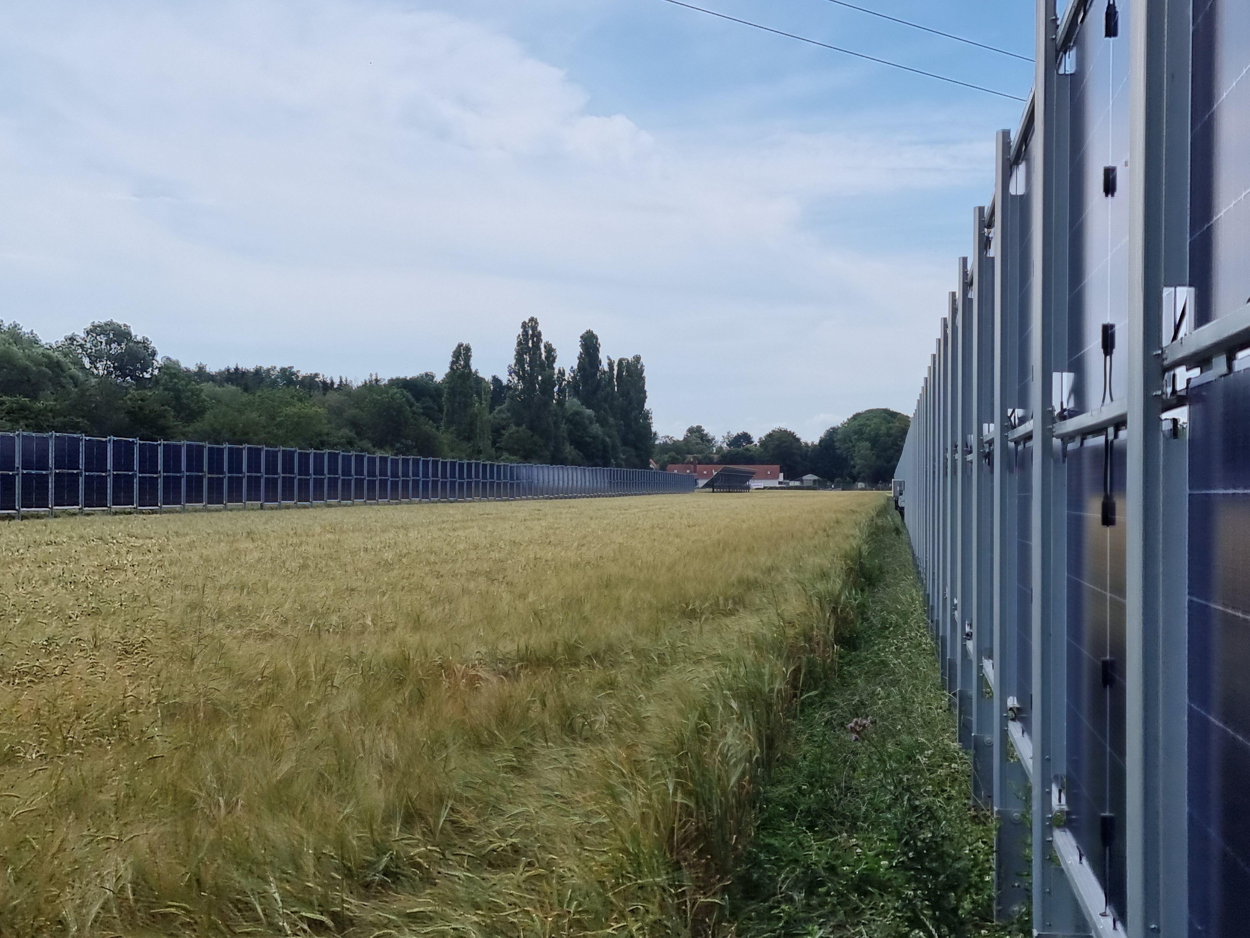Agrivoltaics installation — solar panels alongside crop rows